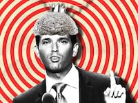 170602-ryan-donald-trump-jr-hero_o0cvl5