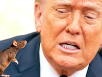 Donald Trump, rat photo illustration