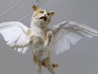 galleries/2014/09/06/the-crappiest-taxidermy-in-the-entire-world-photos/the-crappiest-taxidermy-in-the-entire-world-photos-image_ube34p