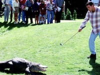 Adam Sandler and Morris, the alligator, in 'Happy Gilmore.'