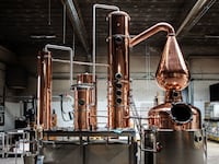 200714-Rothbaum-Whisky-scene-tease_tumkvn