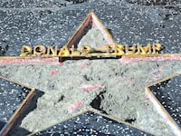 cheats/2016/10/27/trump-s-hollywood-walk-of-fame-star-vandal-arrested/161027-donald-trump-star-cheat_ejkwjm