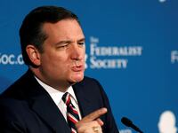 cheats/2016/11/27/cruz-pitchforks-and-torches-if-gop-doesn-t-deliver-on-promises/161127-cruz-promises-cheat_jdjcxy