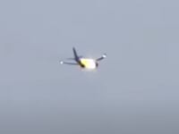 Fire spews from a United Airlines jet after a rabbit got sucked into the engine.