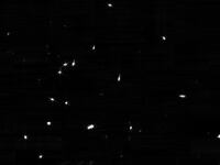alignment_mosaic_compressed-1536x1041_omcd78
