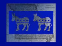 DNC donkeys
