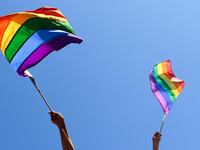 201012-nelson-lgbt-tease_m1ccpp