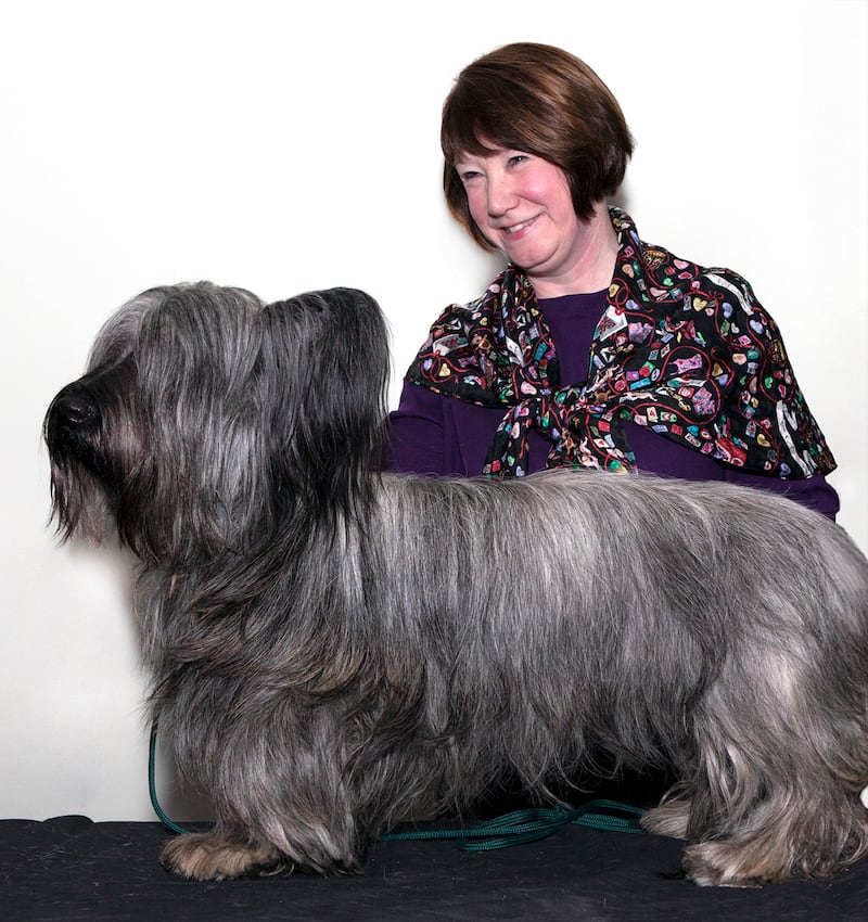 galleries/2015/02/16/best-in-show-meet-the-breeds-and-breeders-of-westminster-photos/150214-westminster-meet-the-breeds-04_ikbb44