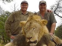 articles/2015/07/28/the-animal-serial-killer-who-shot-cecil-the-lion/150728-strochlic-lion-tease_ws7m8r