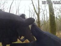 New body camera footage released Wednesday sheds light on to what happened the day an activist was shot dead by police at Atlanta's future “cop city” site.