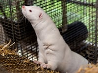 GettyImages-1229515067_xxzrvs
