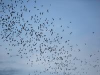 GettyImages-1228471325_eqejfc