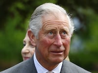 articles/2015/06/07/why-prince-charles-should-keep-his-views-to-himself/150605-sykes-prince-charles-tease_ebznvp