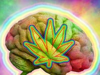 articles/2016/04/02/if-you-have-this-gene-don-t-smoke-weed/160401-siegel-weed-genes-tease_wpikre