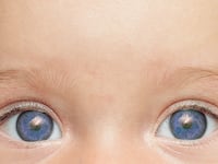 articles/2014/11/24/want-blue-eyes-with-that-baby-the-strange-new-world-of-human-reproduction/141123-clift-future-reproduction-tease_nkzjyc