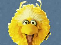 articles/2015/05/03/my-secret-life-as-big-bird-the-dark-past-and-sunny-days-of-caroll-spinney/150501-fallon-big-bird-tease_beptfg