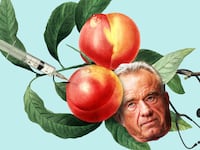 Robert F Kennedy, Jr on a branch of peaches with a syringe and a stethoscope