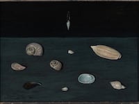 Freeman's. Gertrude Abercrombie’s “Alderman Merriam’s Shells.”