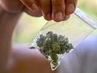 A packet of marijuana.