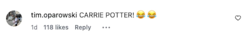A comment left on Carrie Bickmore's Instagram