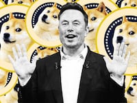 Elon Musk, DOGE