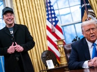 Elon Musk, Donald Trump