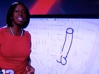 articles/2013/12/18/11-news-anchor-flubs-tom-brokaw-on-ambien-weather-penis-and-more/131217-kubas-meyer-flubs_xxnqoc