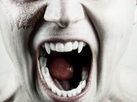 articles/2013/12/12/timothy-vafeades-the-vampire-trucker-shames-the-undead/131211-daly-vampire-trucker-tease-NEW_ikjjdn