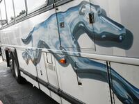 articles/2013/09/23/nevada-sued-for-greyhound-therapy-for-mentally-ill-patients/130922-smith-nevada1a-tease_vxrqx1