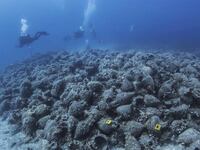 220807-greece-underwater-hero_vmy3sd
