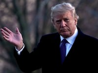 trumppppppp_ansmxi