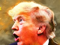 Trump's glorious hair