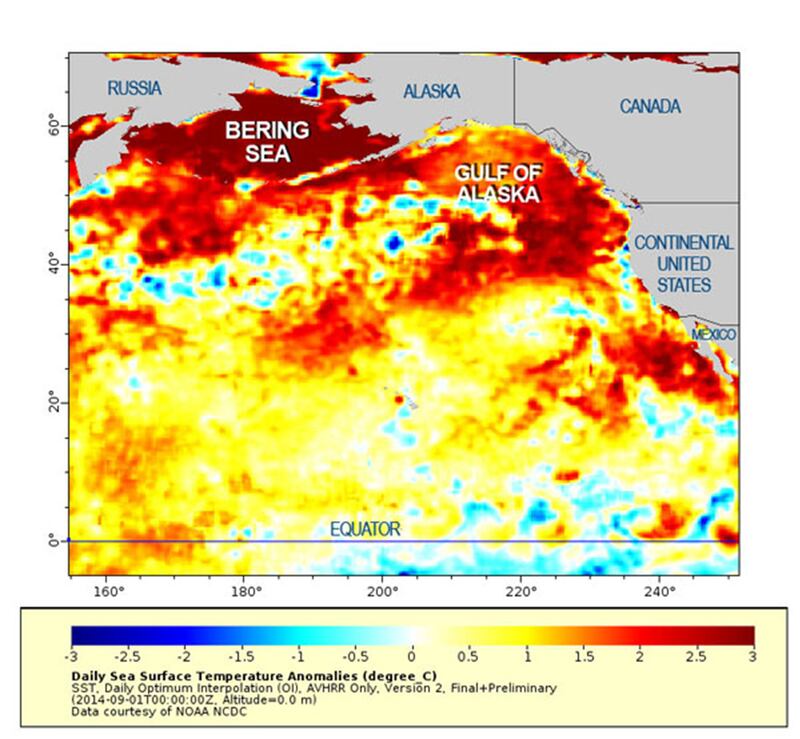 articles/2015/06/18/pacific-blob-may-be-worsening-drought/150618-joiner-pacific-warming-embed_n4jnjh
