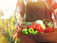 articles/2015/10/01/foodscaping-a-beautiful-solution-to-food-deserts/150930-branom-foodscaping-tease_nyto1v