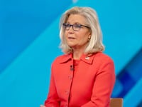 Liz Cheney speaks on TV.