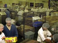 articles/2013/03/01/our-unsafe-food-supply-is-killing-us/130228-Warner-Food-Safety-tease_uuyesg