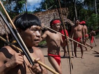 articles/2013/02/19/green-snot-and-deadly-snakes-napoleon-chagnon-s-anthropological-battles/130219-romeo-chagnon-yanomami-tease_tz2b8s