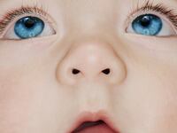 close up of child's face with blue eyes with mouth open france french limb limbless ain province arm hand