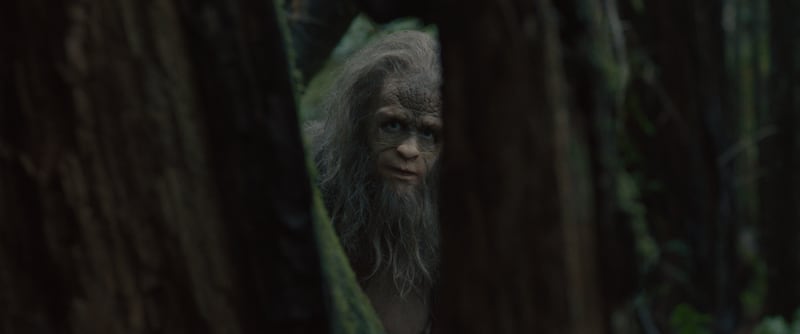 Sasquatch
