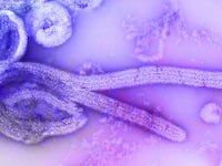 cdc-7CQFCHoFL-o-unsplash_xlm9fk