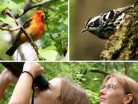 articles/2012/07/13/the-central-park-effect-explores-the-magical-power-of-birding/birders-dana-tease_syqbtj