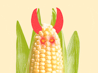 A photo illustration gif showing an ear of corn with devil horns and glowing red eyes.
