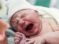 articles/2012/08/27/american-academy-of-pediatrics-circumcise-me-baby/circumcision-down-in-us-crocker_dqd57j
