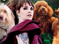 170709-Crocker-Lena-Dunham-dog-saga-hero_sqyiws
