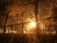 california-wild-fires_raxyrz