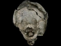 191207-moss-skeleton-helmets-tease_u8ysur