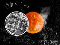 061622-carleton-nycrypto-hero_orgsef