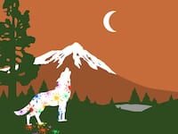 210501-yellowstone-wolves-hero_fypypf