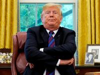 djt_nzk3tv