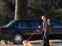 articles/2016/02/22/the-fabulous-life-of-the-queen-s-corgis-silver-salvers-and-homeopathic-remedies/corgipic_mjcnkc